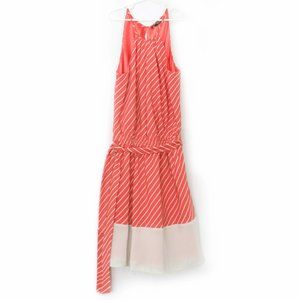 Express Striped Dress